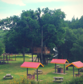 Treehouse & Tube Slide