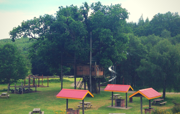 Treehouse & Tube Slide